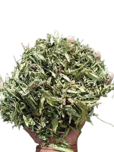 Stevia Leaves