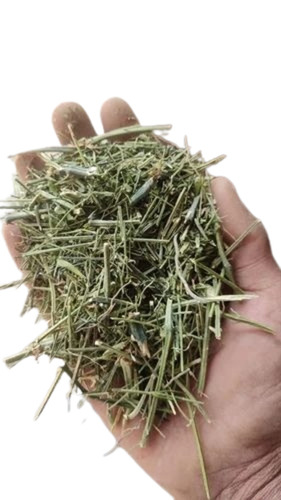 Swertia Chirata Powder