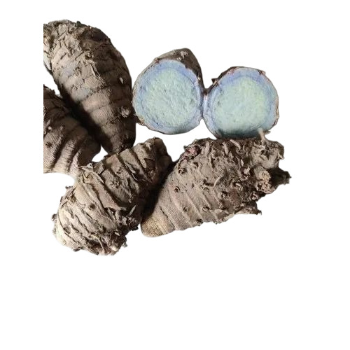 Turmeric Seed