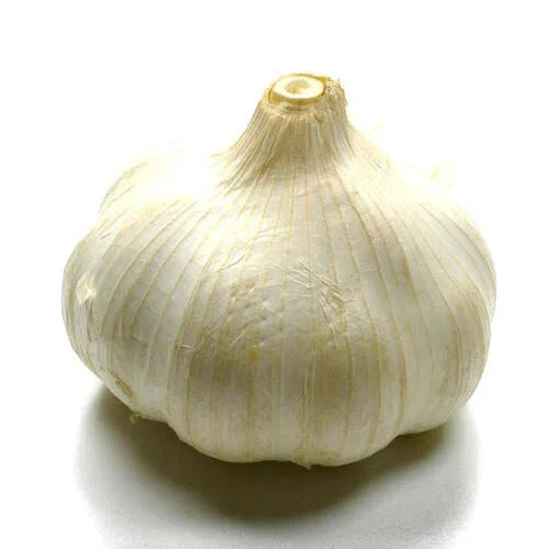 30mm Rajasthan Organic Garlic