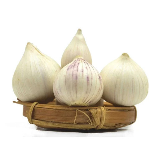 38mm Single Clove Garlic