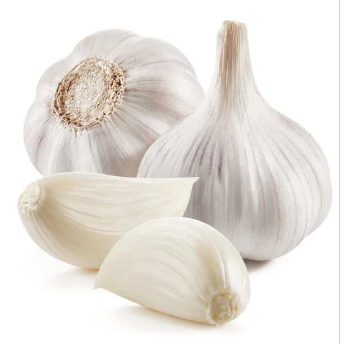 55mm Himachal Organic Garlic