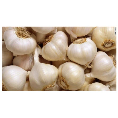 66mm Ooty Organic Garlic