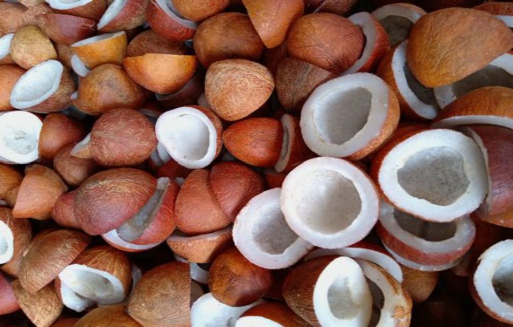 Copra Dry Coconut