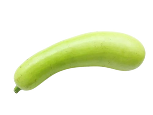 Fresh Bottle Gourd