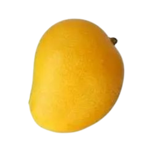 Fresh Mango