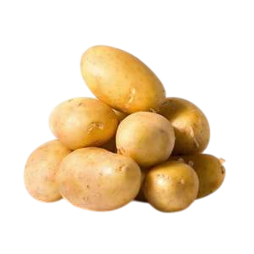 Fresh Potato