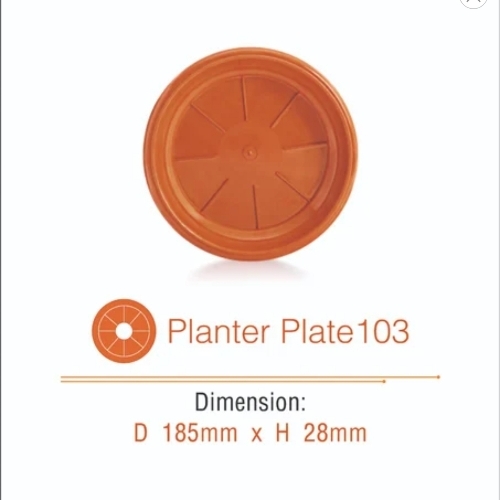 Planter Plate