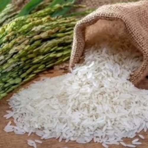 Rice