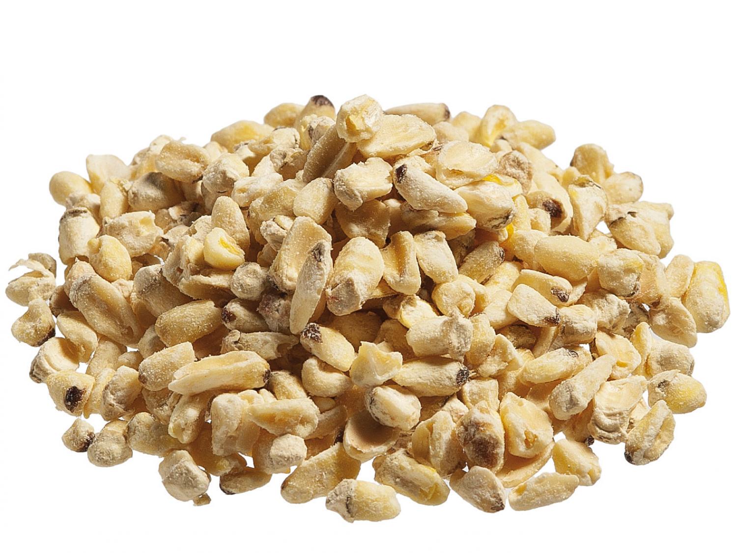 Corn Germ - Application: Oil