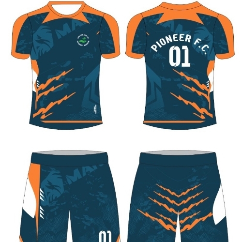 Cricket costume