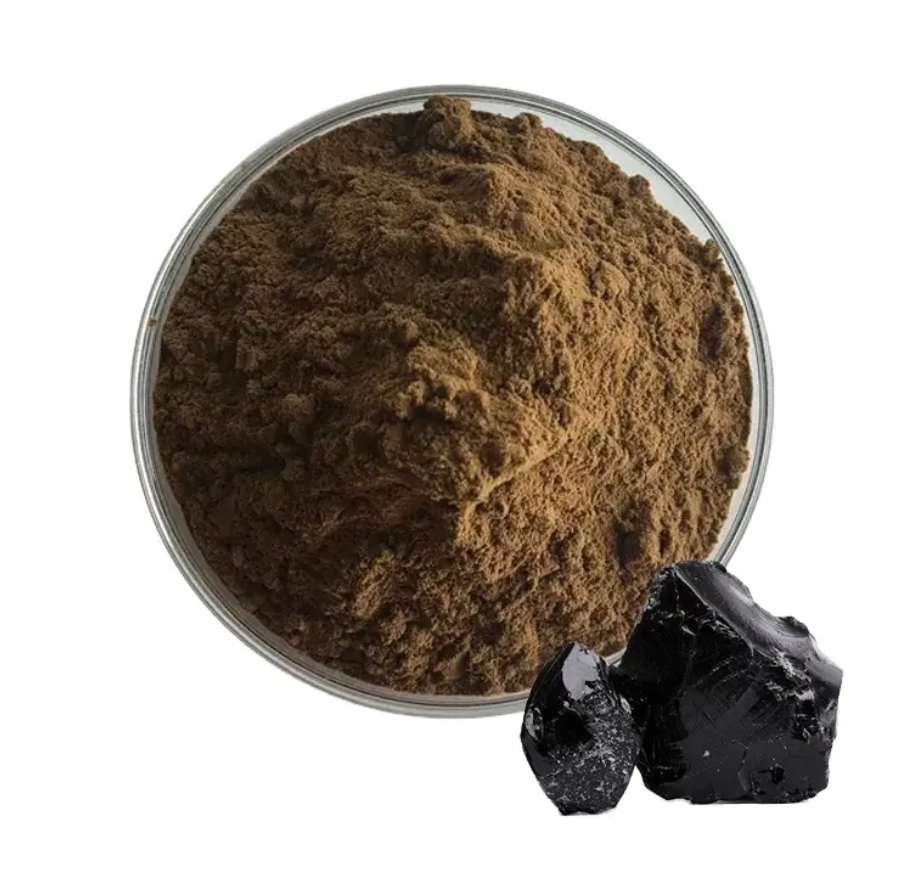 Shilajit Extract