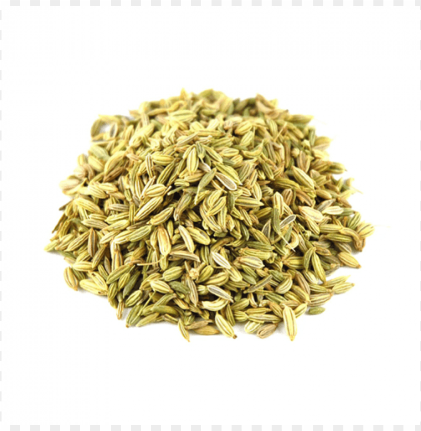 Fennel Seed