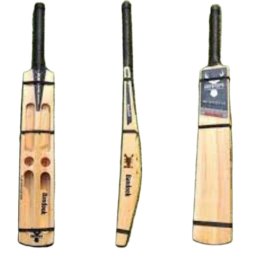 Kashmir Willow Cricket Bats