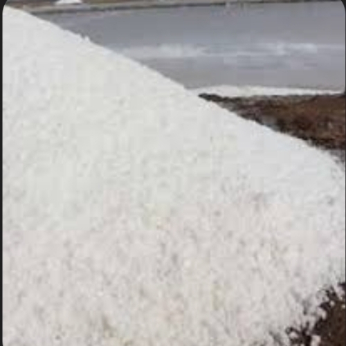 Organic salt