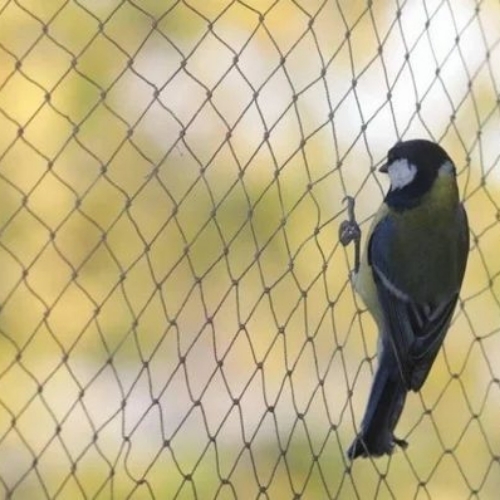 Bird Safety Net