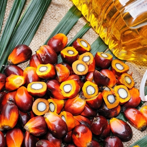 Palm Oil
