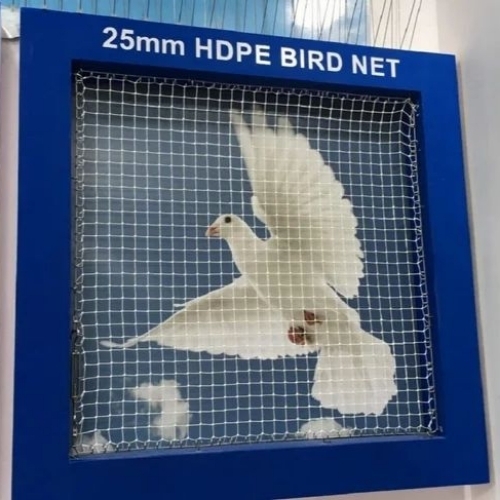 Pigeon Safety Net