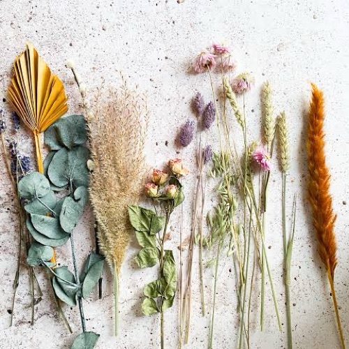 Dried flowers