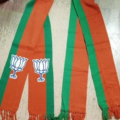 Political Party Flag Print