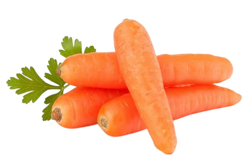 Fresh Carrot
