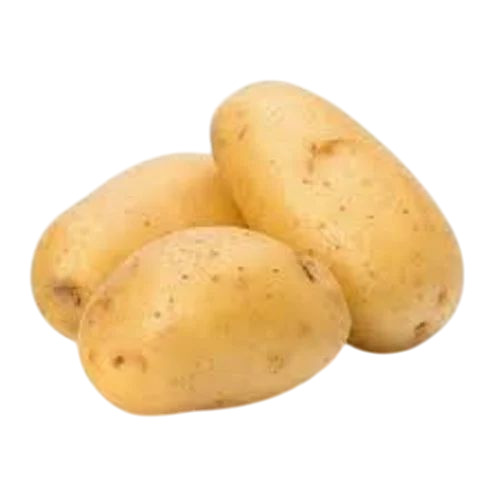 Fresh Potato