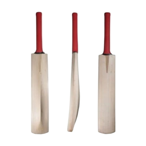 Popular Willow Cricket Bat