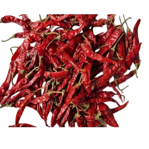 Armour Dry Red Chilli