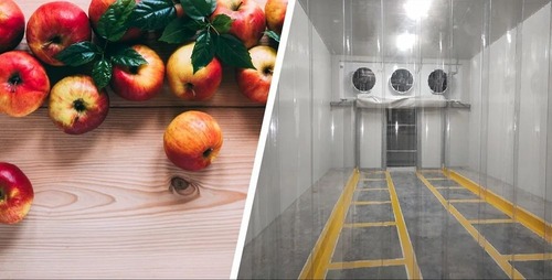 Cold Storage Apple