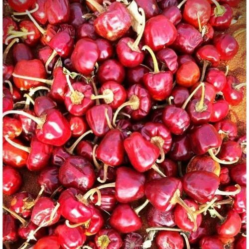 Mundu Dry Red Chilli