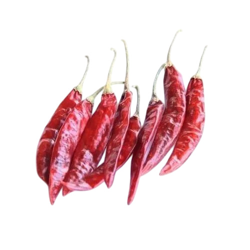 S 10 Dry Red Chilli