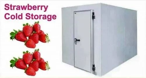 Strawberry Cold Storage Room