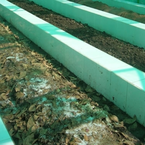 VERMIREMEDIATION