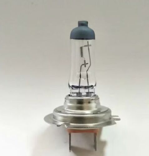 Auto Halogen Bulb
