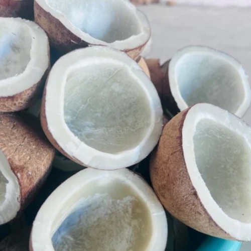 Dried Coconut Copra