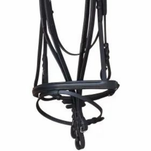 Horse Bridle With Reins