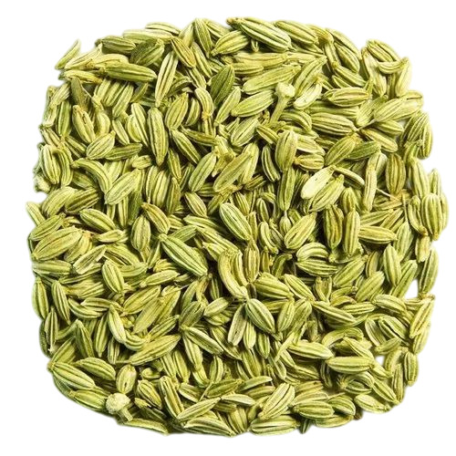 Fennel Seed