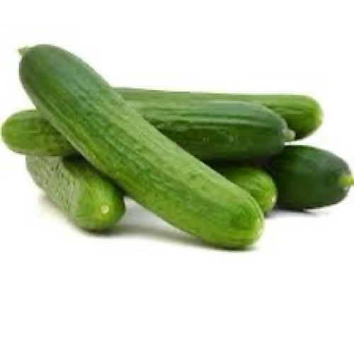 Fresh Cucumber