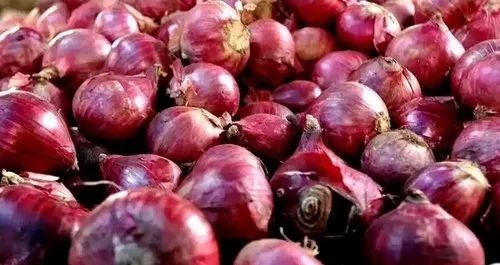 A Grade Shallot Onion