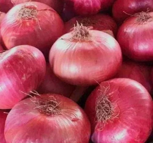 Burgundy Red Onion