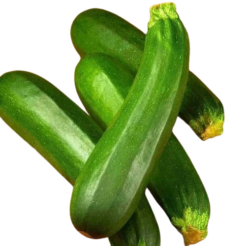 Fresh Green Zucchini