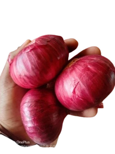 Fresh Red Onion