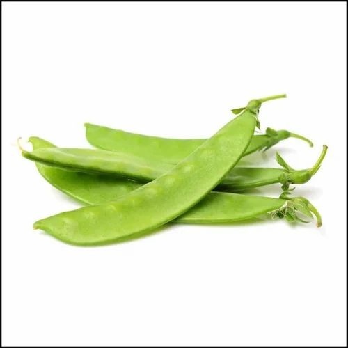 Fresh Snow Pea
