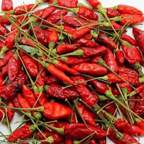 Fresh Thai Bird Eye Chili
