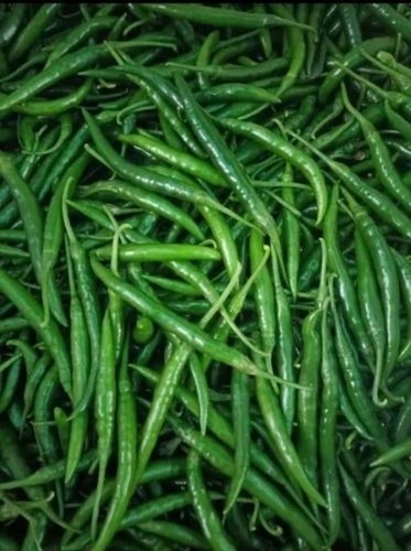 G4 Green Chilli