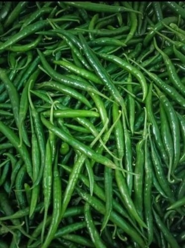 G4 Green Chillis
