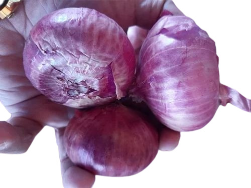 Nashik Red Onions