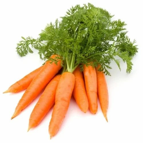 Orange Ooty Carrot