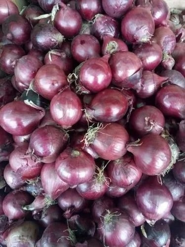 Organic Dry Onion