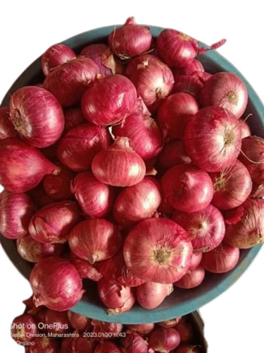 Quality Onions
